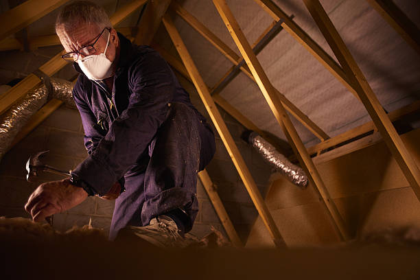 Best Commercial Insulation in Olathe, KS